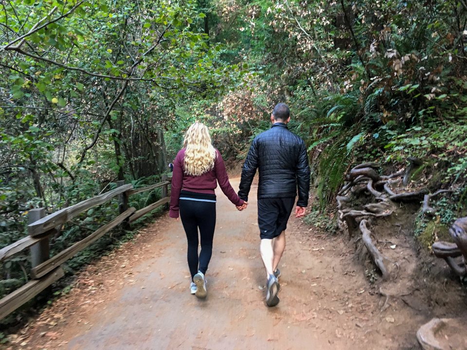 Couple walking hand in hand down a sunlit wooded trail