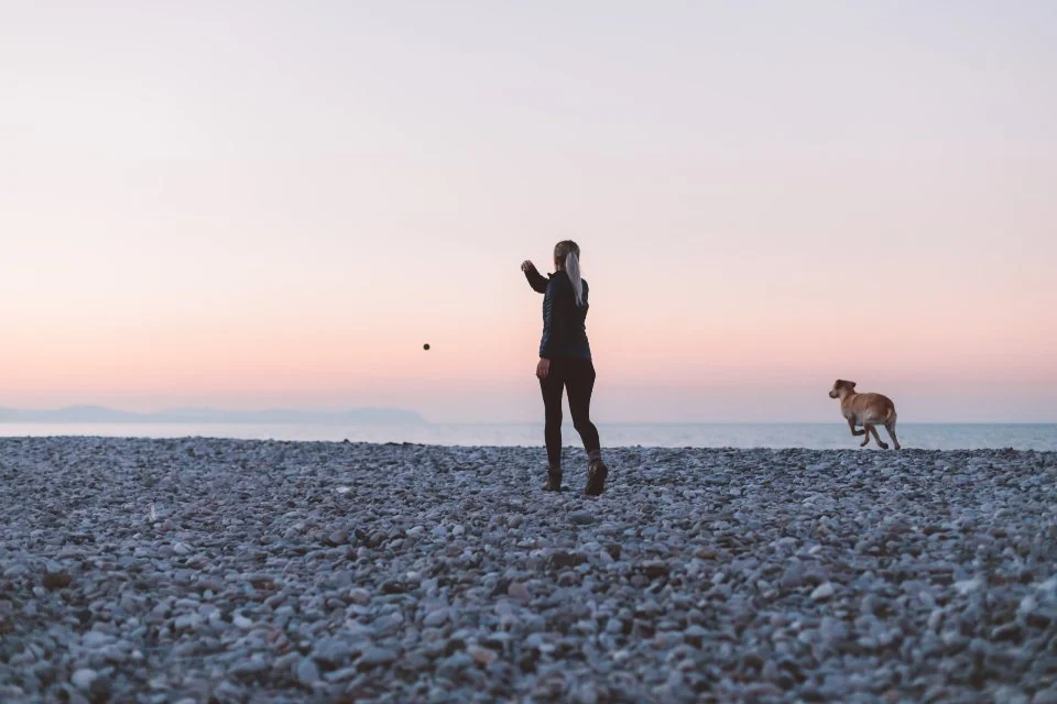 Person walking a dog on the beach at dusk